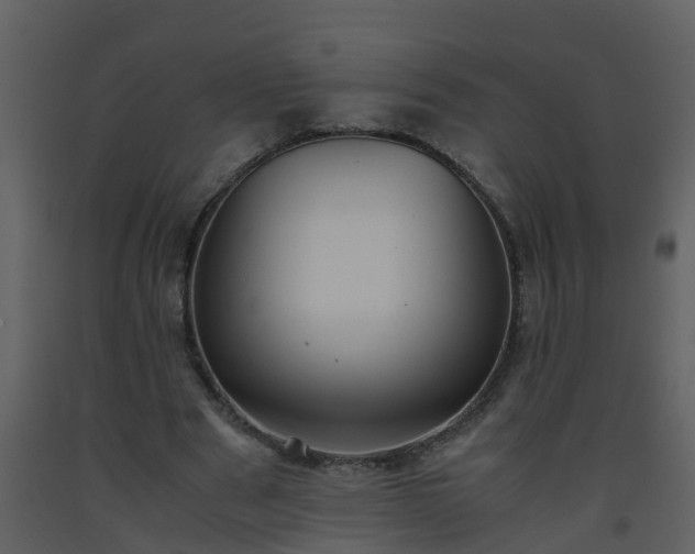 X0000093590489200710221526