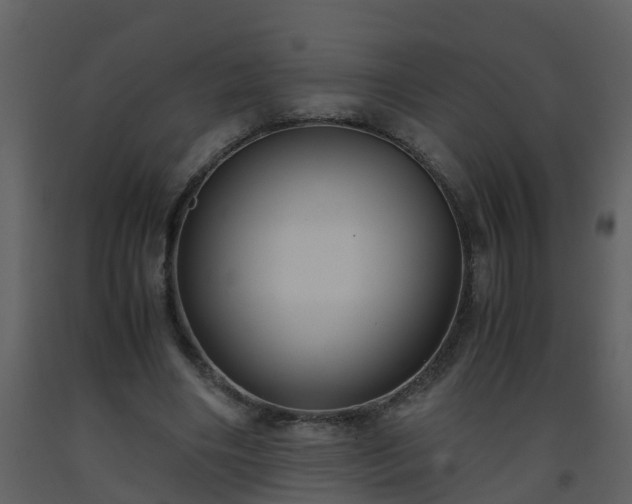 X0000093590490200710221526
