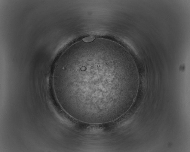 X0000093590491200710221526