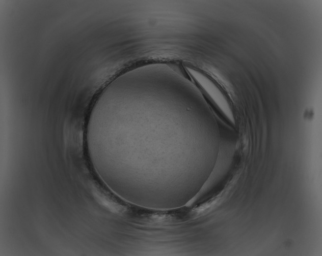 X0000093590493200710221526