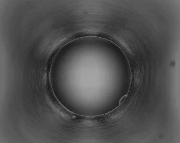 X0000093590494200710221526
