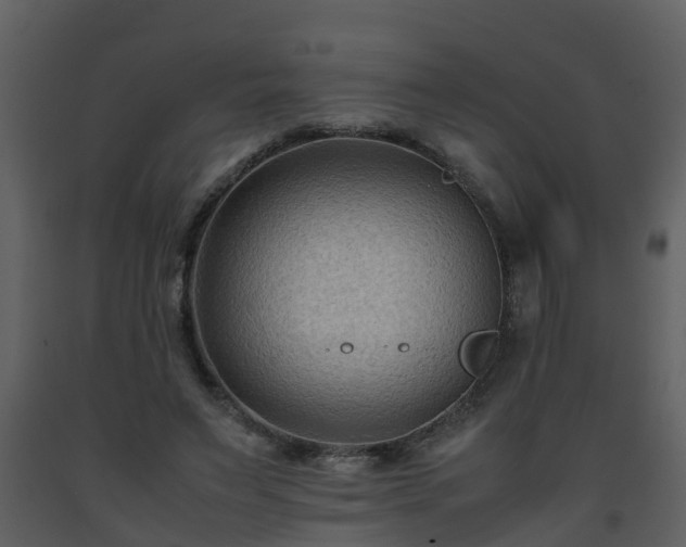 X0000093590495200710221526