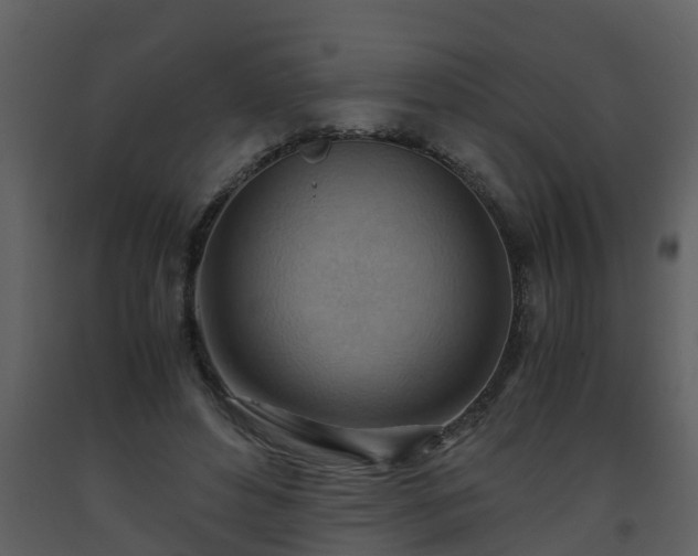 X0000093590496200710221526