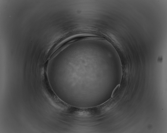 X0000093590500200710221526