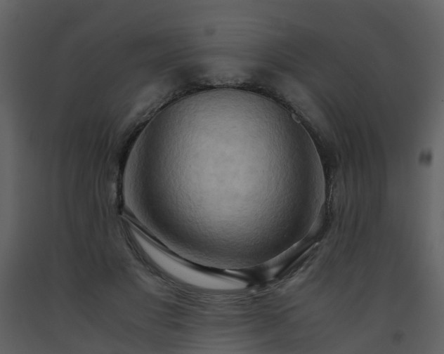 X0000093590501200710221526