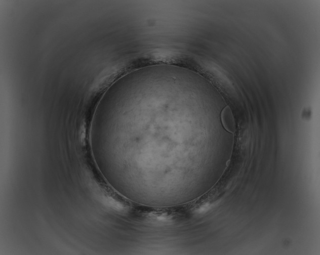 X0000093590502200710221526