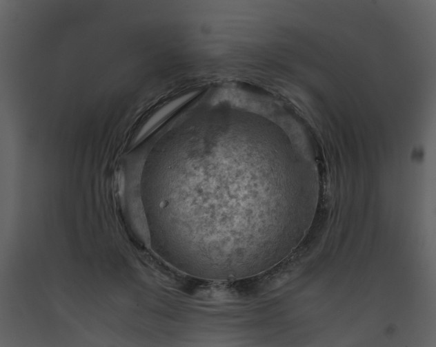 X0000093590503200710221526
