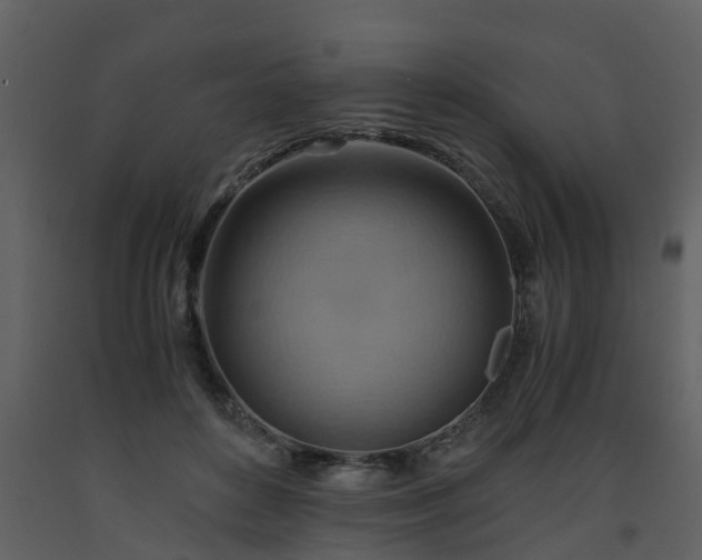 X0000093590504200710221526