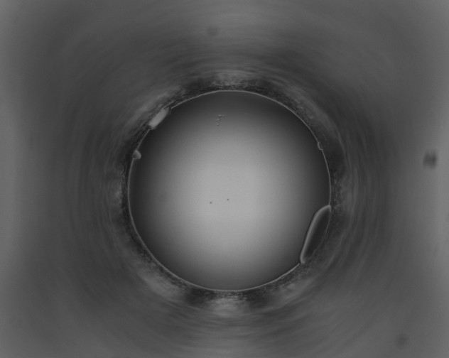 X0000093590505200710221526
