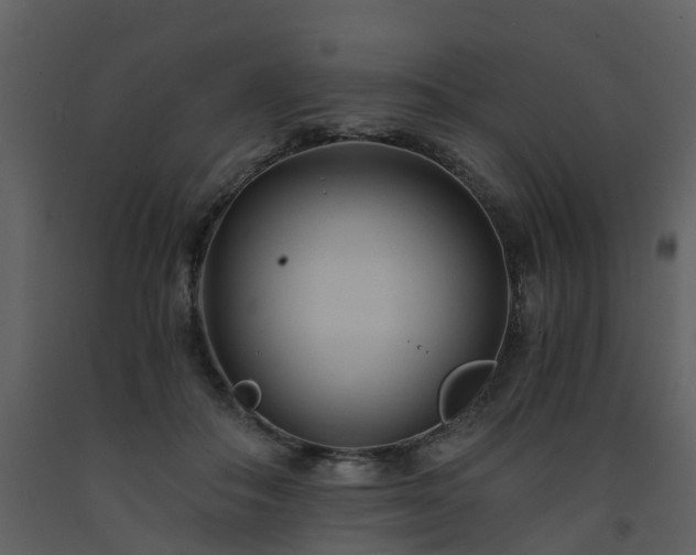 X0000093590506200710221526