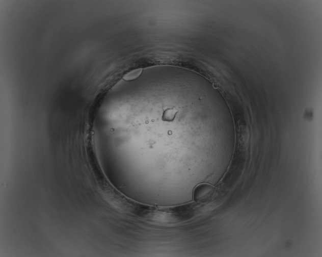 X0000093590507200710221526