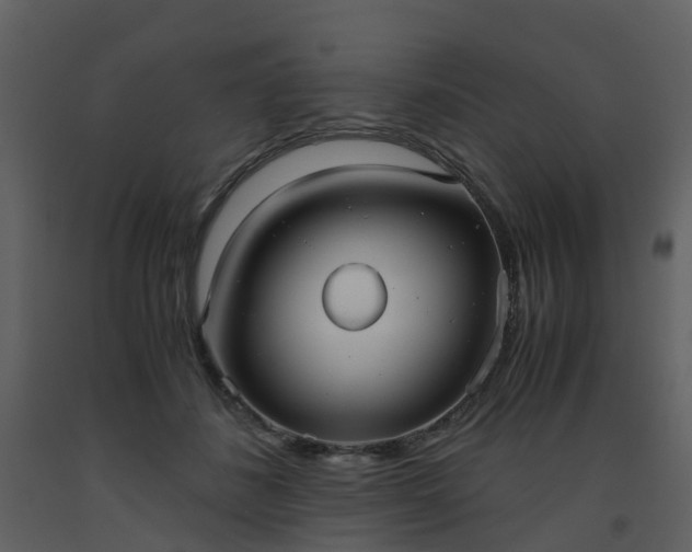 X0000093590508200710221526