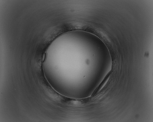 X0000093590509200710221526