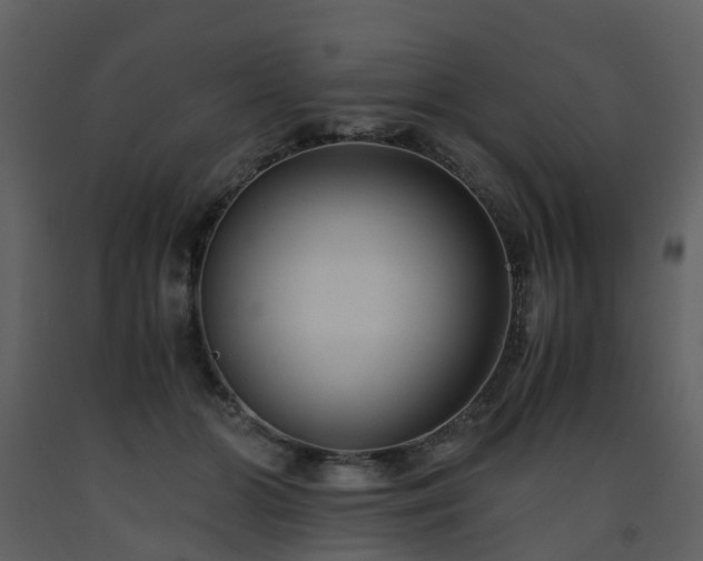 X0000093590510200710221526