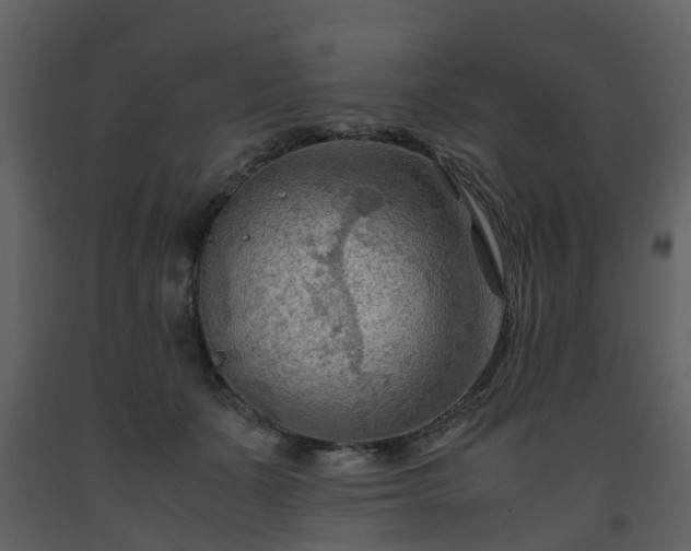 X0000093590511200710221526
