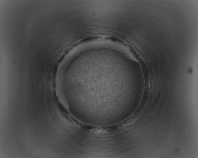 X0000093590512200710221526