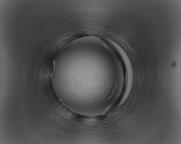 X0000093590513200710221526