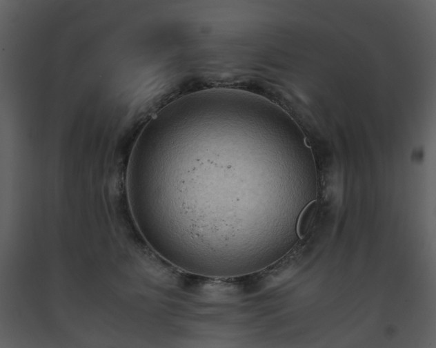 X0000093590515200710221526
