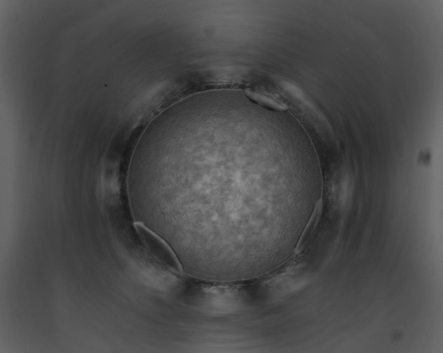 X0000093590516200710221526