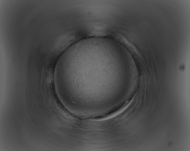 X0000093590517200710221526