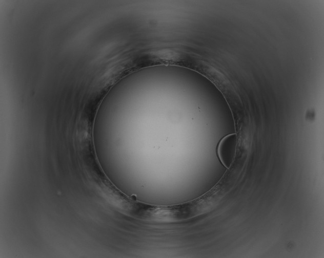 X0000093590518200710221526