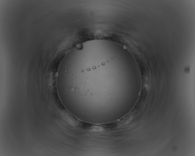 X0000093590519200710221526