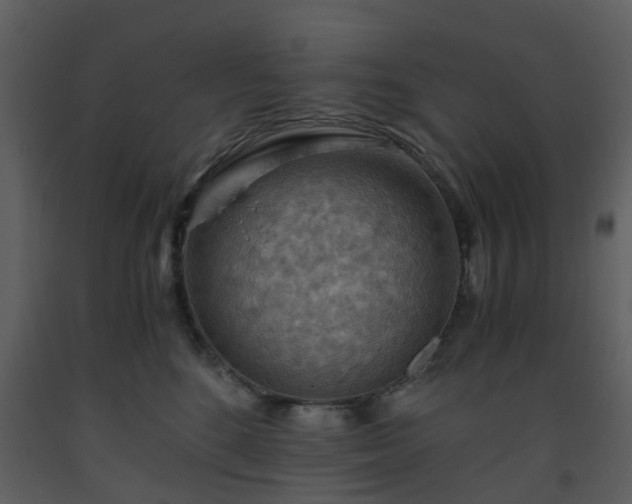 X0000093590520200710221526