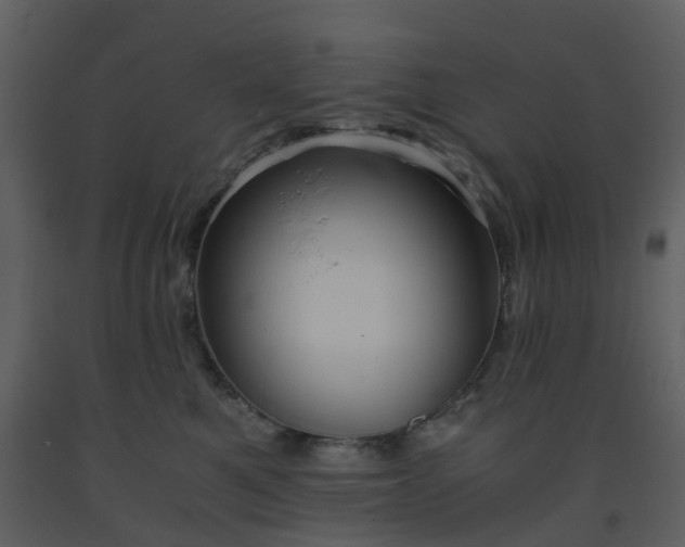 X0000093590521200710221526