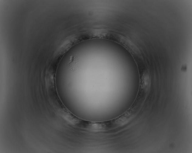 X0000093590522200710221526