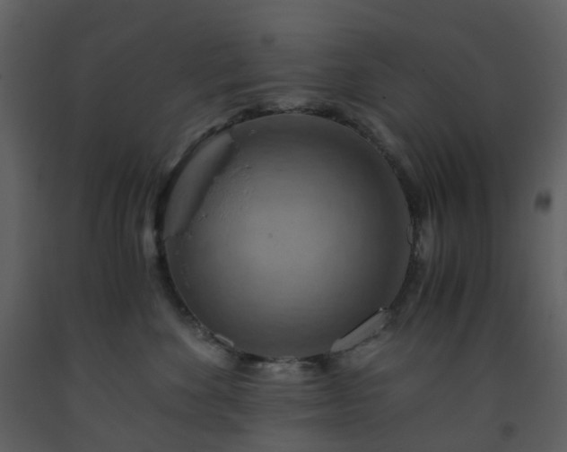 X0000093590524200710221526