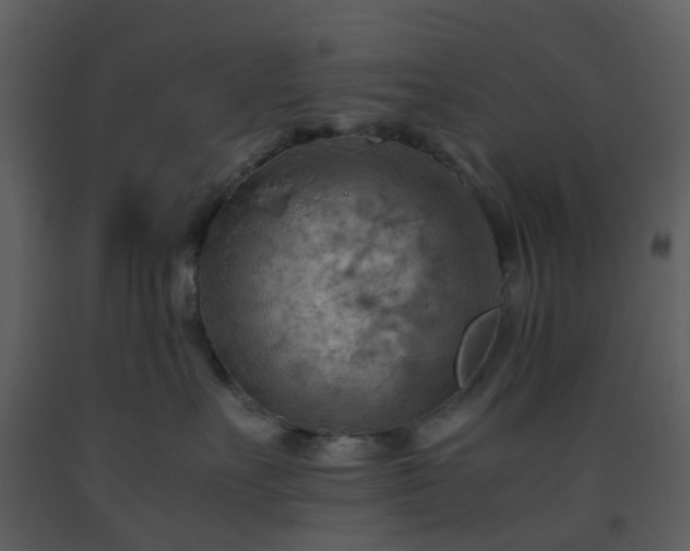 X0000093590527200710221526