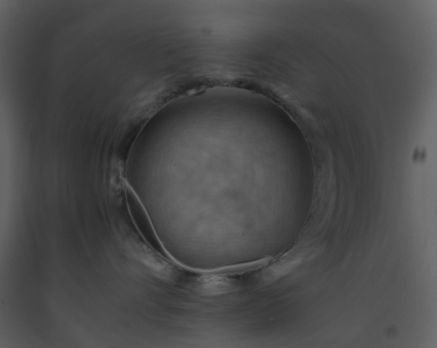 X0000093590528200710221526