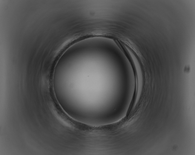 X0000093590530200710221525