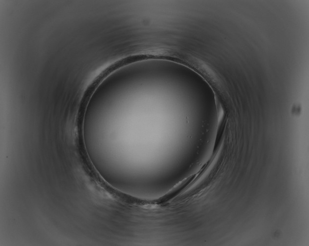 X0000093590532200710221525