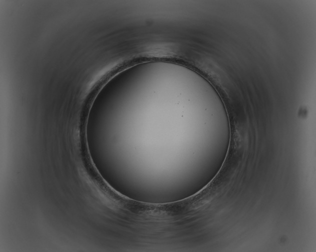 X0000093590535200710221525