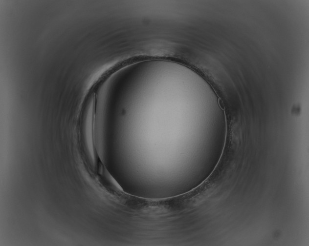 X0000093590536200710221525