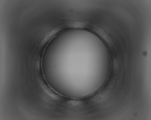 X0000093590537200710221525