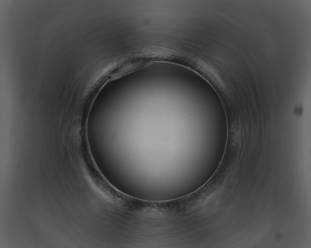 X0000093590538200710221525