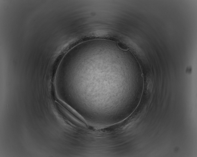 X0000093590542200710221525
