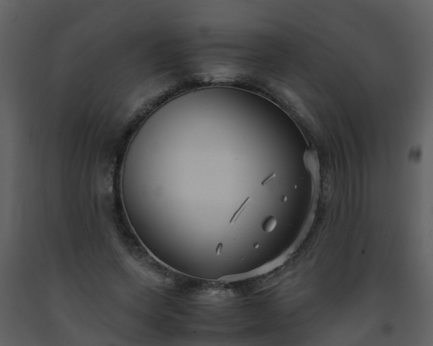 X0000093590543200710221525