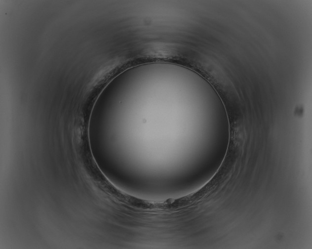 X0000093590544200710221525