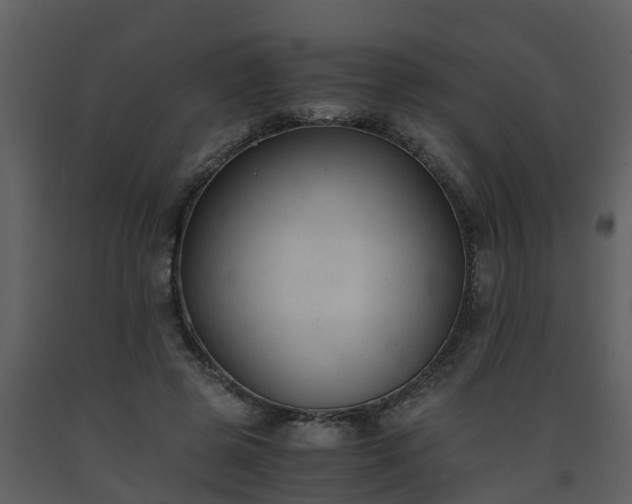 X0000093590545200710221525