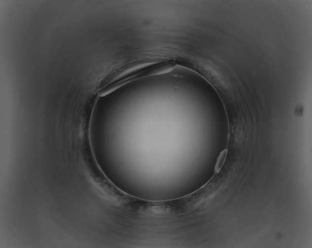 X0000093590546200710221525