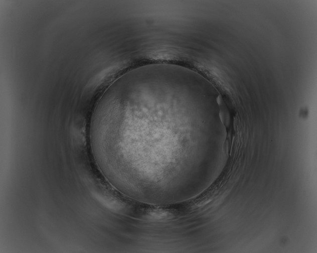 X0000093590547200710221525