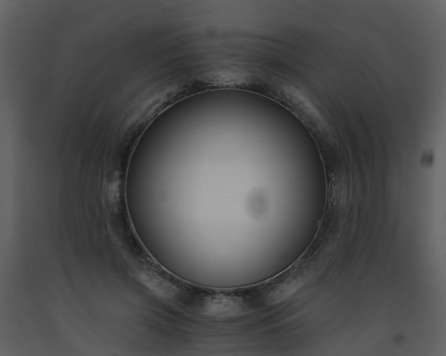 X0000093590549200710221525