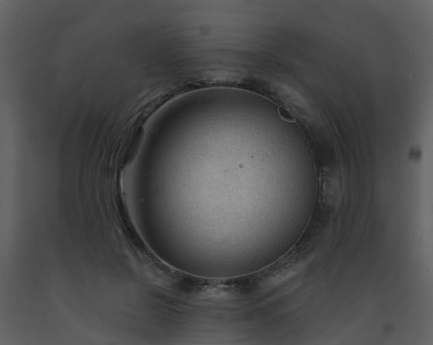 X0000093590550200710221525