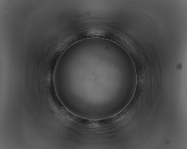 X0000093590551200710221525
