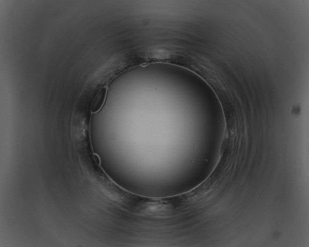 X0000093590555200710221525