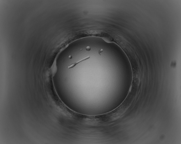 X0000093590556200710221525