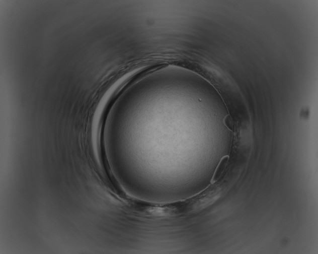 X0000093590558200710221525